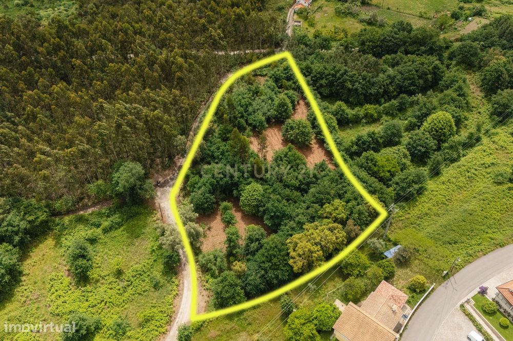 Terreno Rústico com 4.700 m² junto à Ecopista do Vouga – Arcozelo das