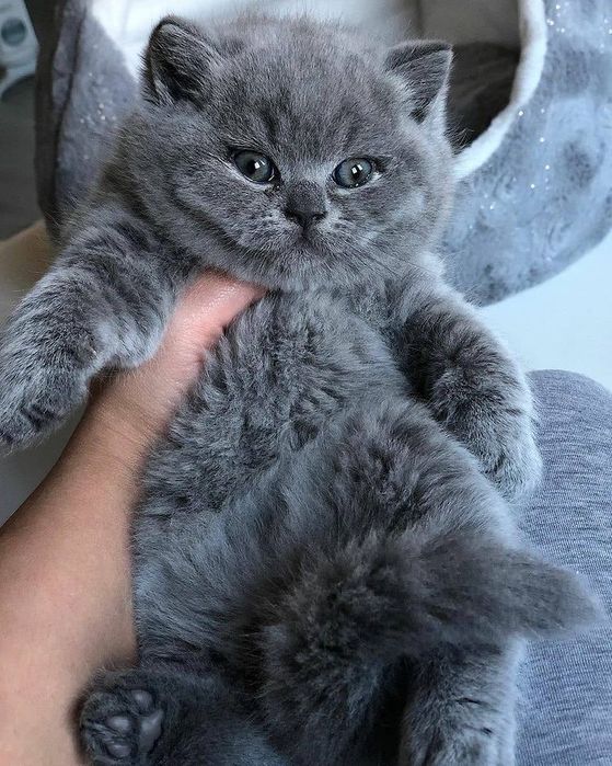 Прекрасный мальчик