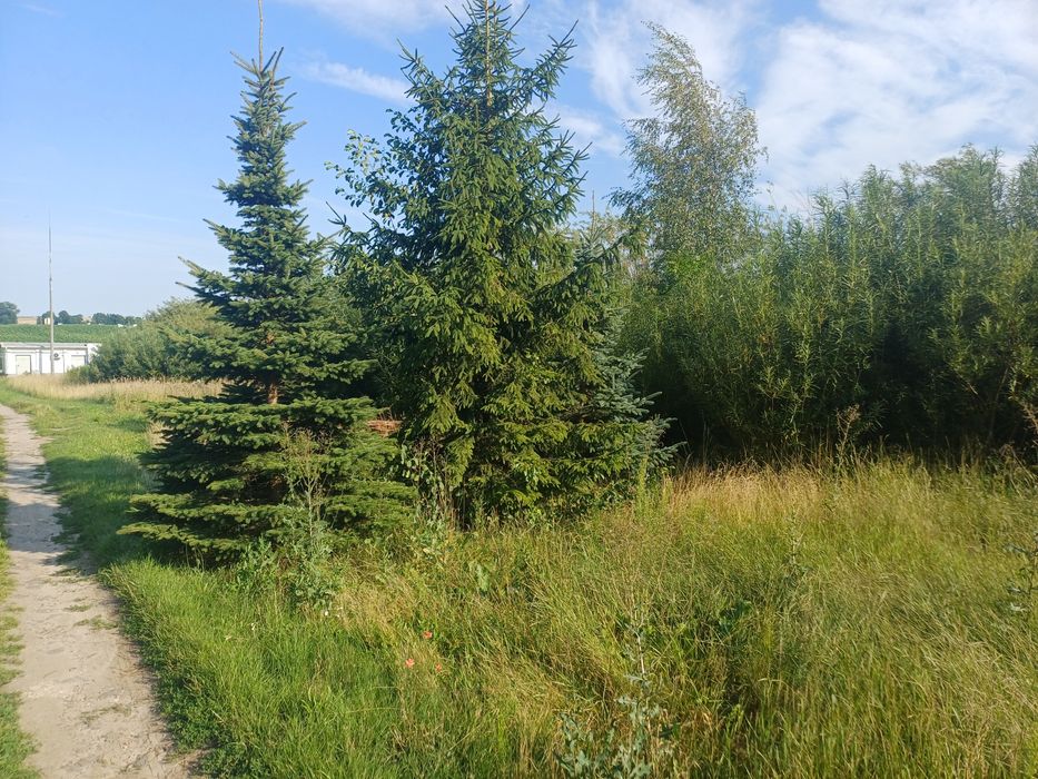Dzialka  budowlano rolnicza