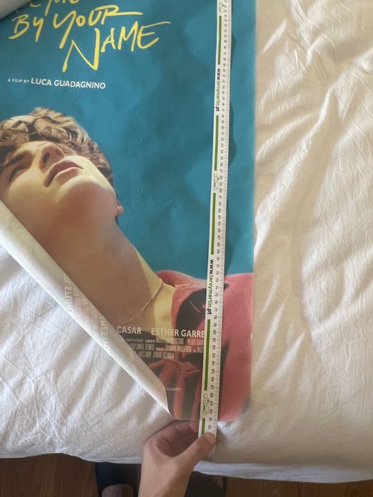 Poster call me by your name