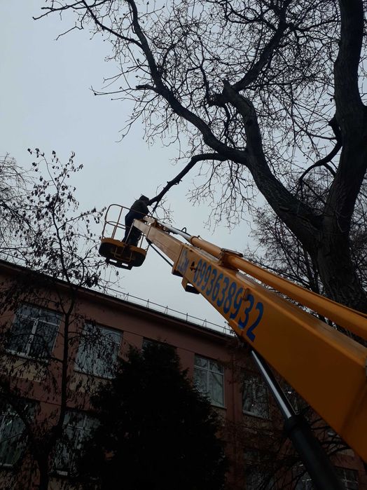 Автовишка послуги автопідйомника Дубно і сусідні райони