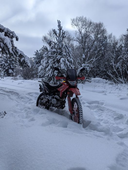 Viper v250l 24 рік