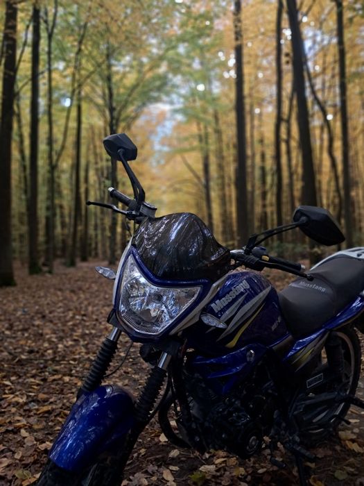 Мустанг регион 150