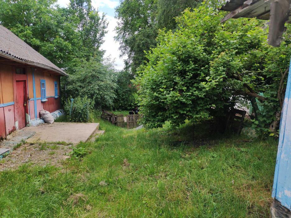 Продам будинок (із земельною ділянкою)