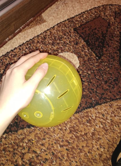 Кулька  для гризуна