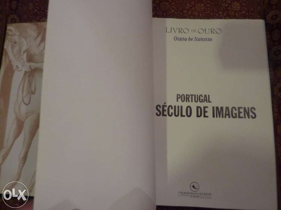 2 Livros de Ouro, Diário de Notícias