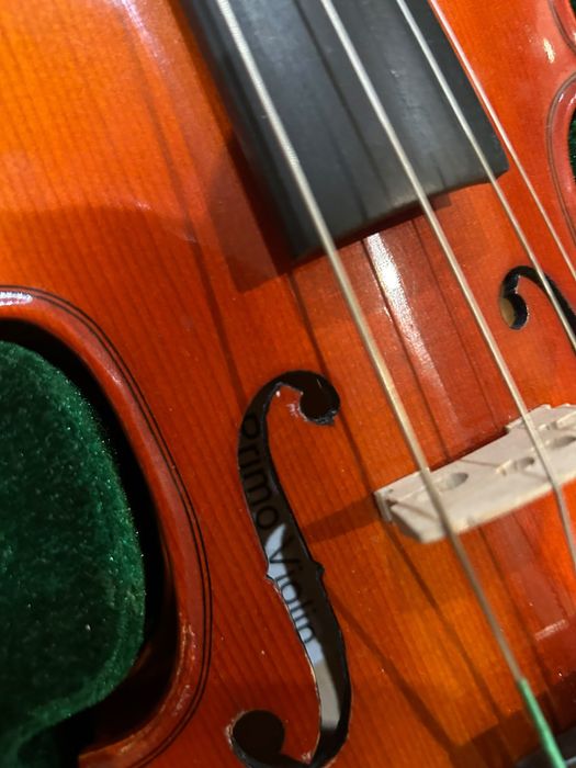 Viola de arco Primo 1/2 com estojo, 1 arco e apoio Wolf