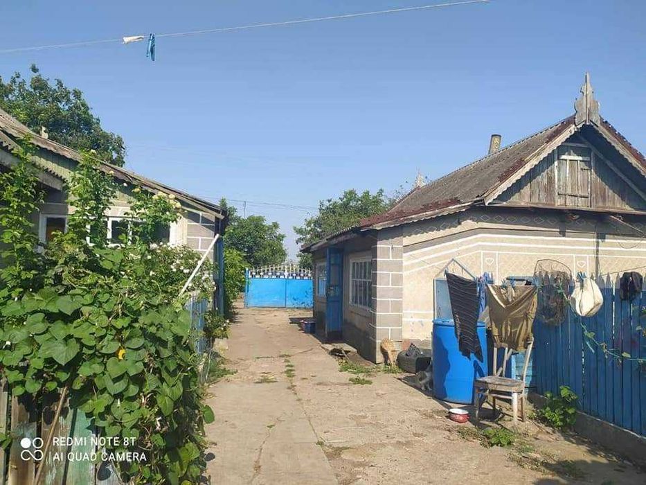 Продаю дом в Троицком 50 соток земли