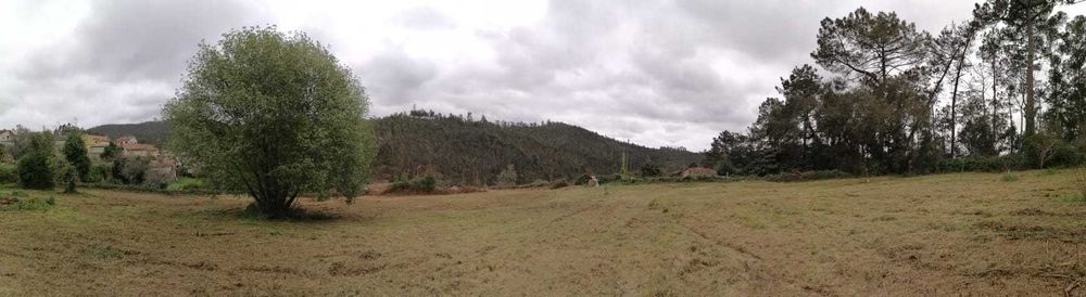 Quintinha para reconstruir no parque das serras do Porto