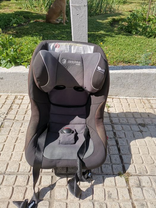 Vende-se cadeira concord