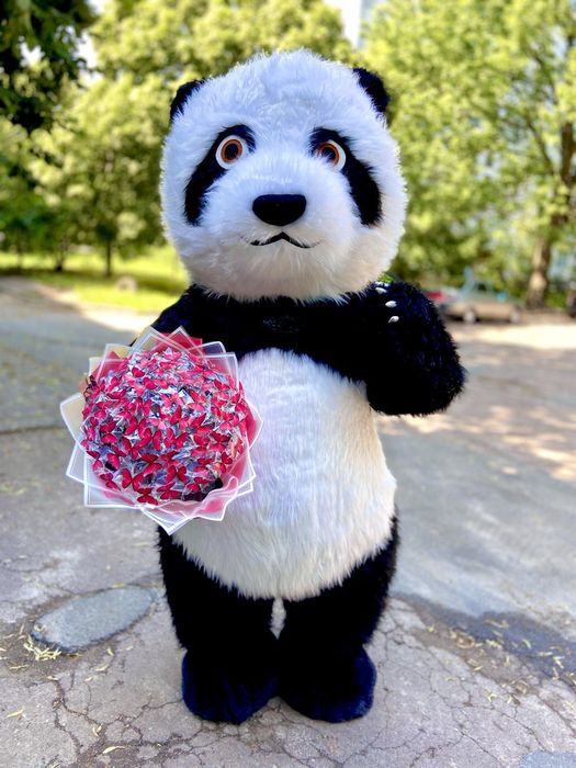 Панда.Ведмідь.Аніматори Чернігів .Аниматоры.Мишка