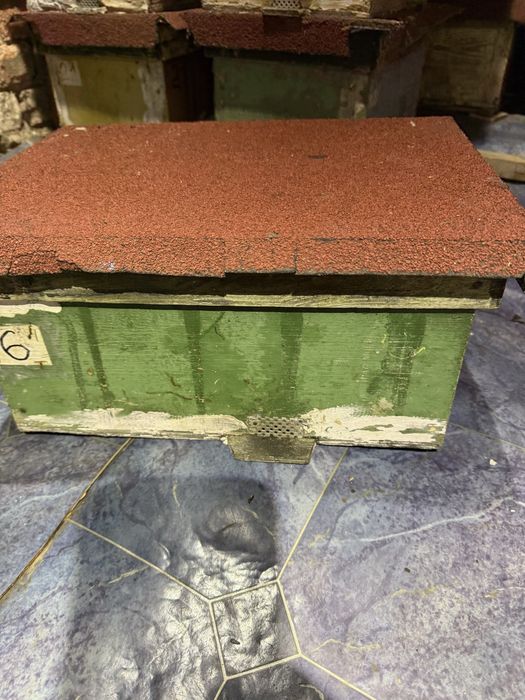 Нуклеуси для бджоломаток (чотирьохмісні)