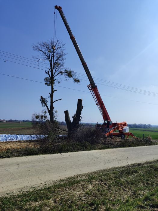 Wycinka drzew Praszka przycinka pielegnacja ogrodów zwyżka rębak