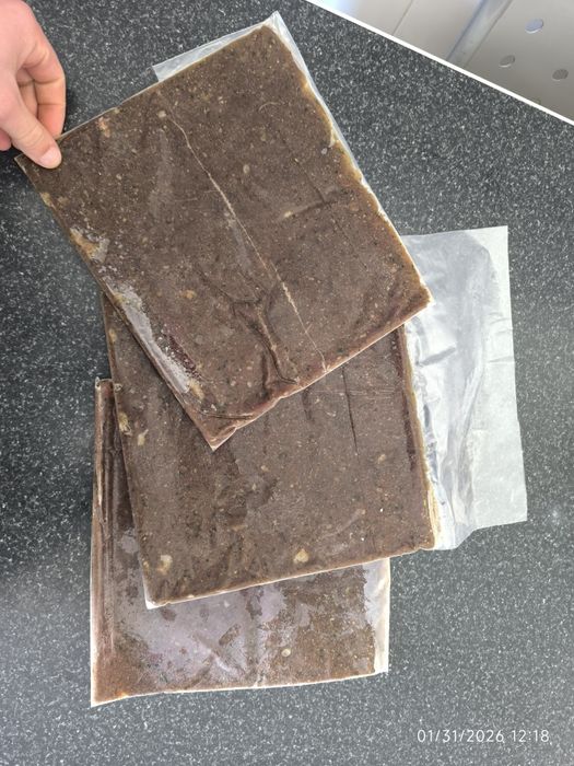 Comida congelada caseira peixes aquário