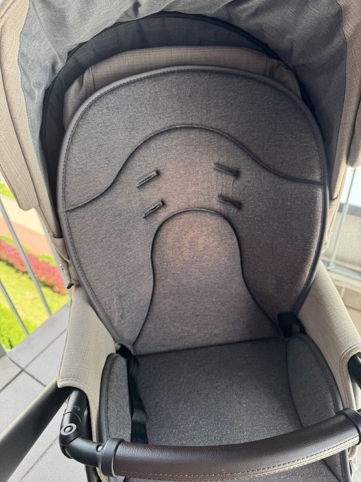 Roan bass next 2 w 1