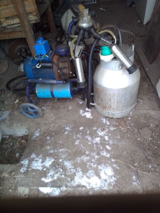 Доильный аппарат