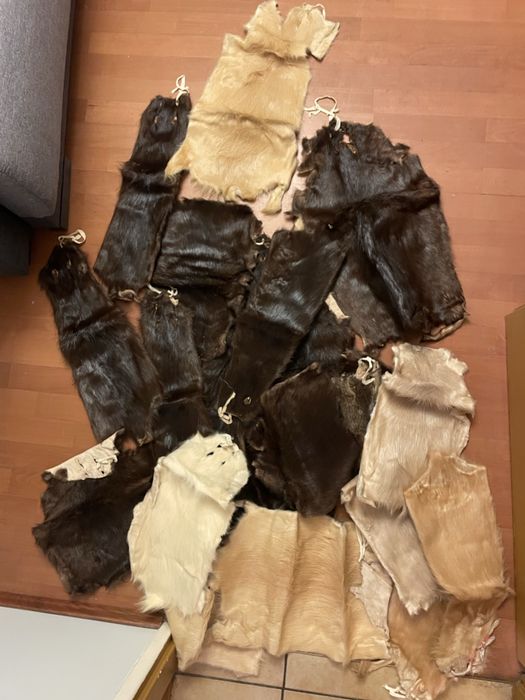 15 sztuk skórki z nutrii naturalne wyprawione skóry różne kolory futro