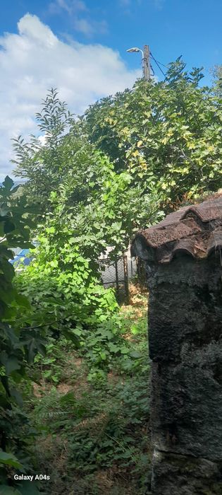 Moradia T1 + Terreno Rustico - Excelente Potencial