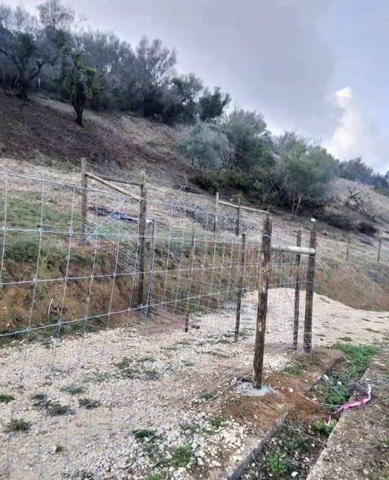 Vedações agrícolas e vinhas