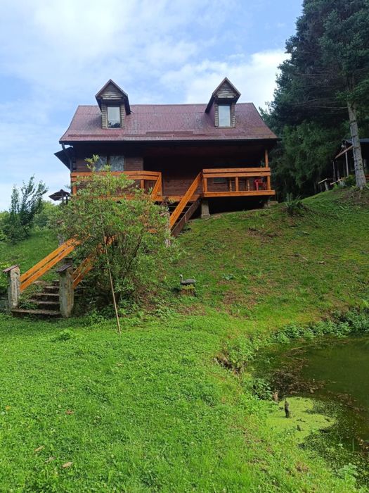 Rekreacja, noclegi, domek letniskowy, leśne zacisze, nad stawem.