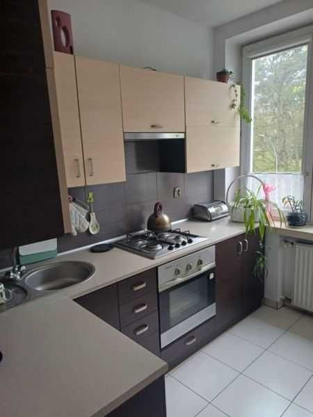 wynajmę kawalerkę - Widok 4