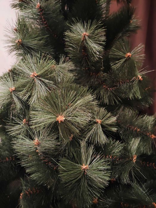 Новогодняя елка сосна 1,5м. Новорічна ялинка