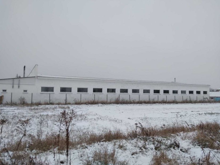 Виробниче чи складське приміщення в оренду