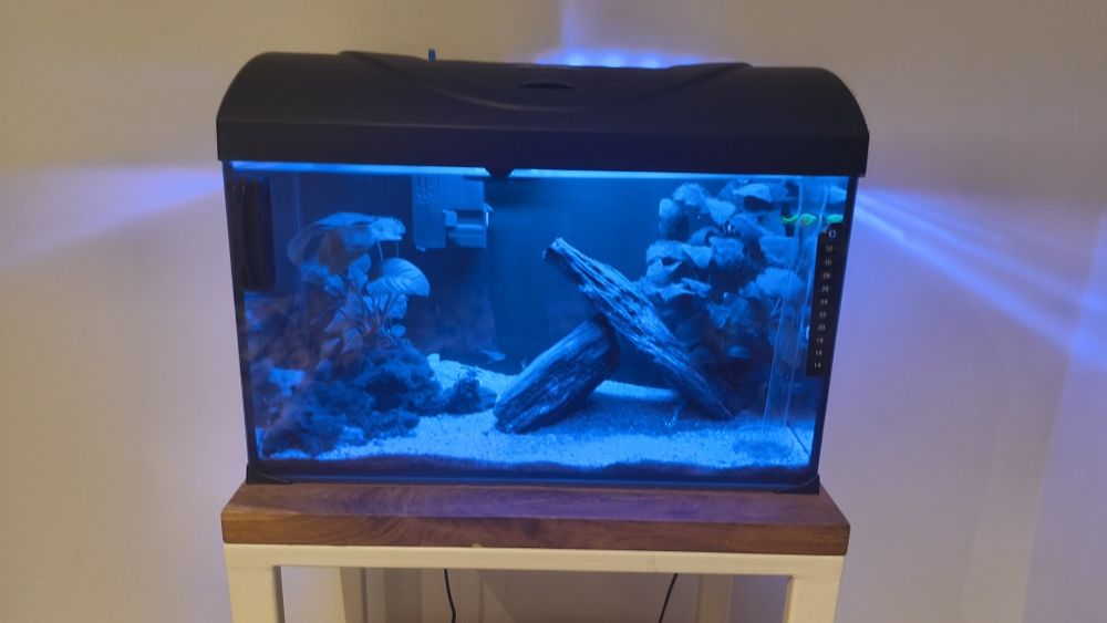 akwarium zestaw filtr grzałka lampa led