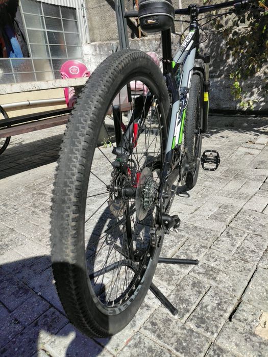 Coluer Ascent  29"