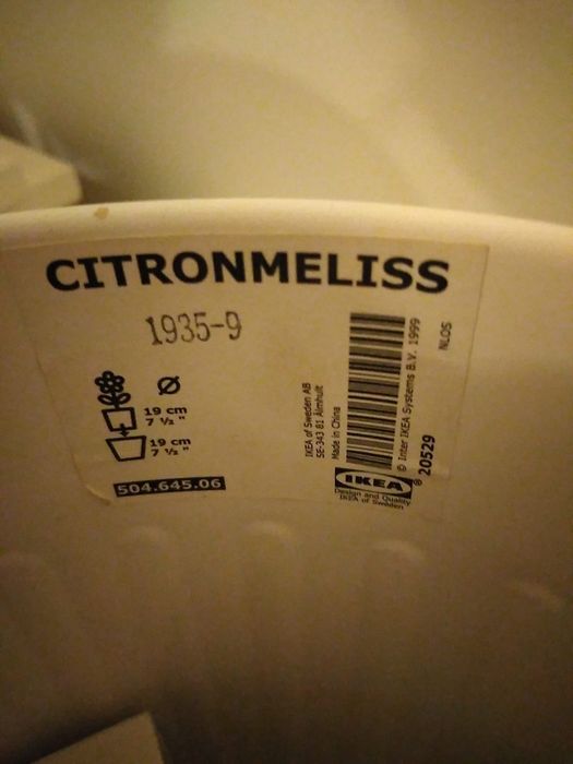 Vaso ikea cor branca