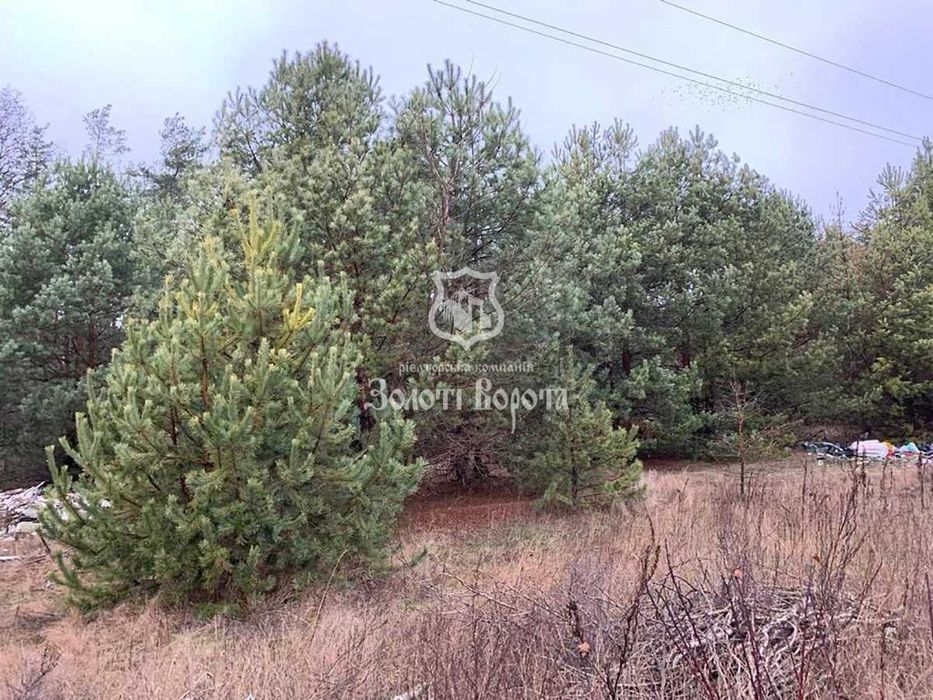 Ділянка під забудову, 20 га. Дзвінкове, Плесецьке, Васильківський р-н