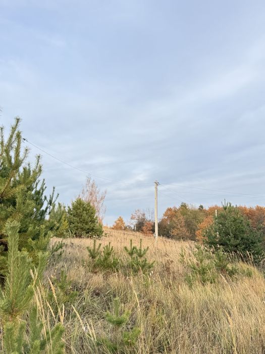 Тиша, панорама, природа - Ділянка навпроти Заповідника та озера‼️