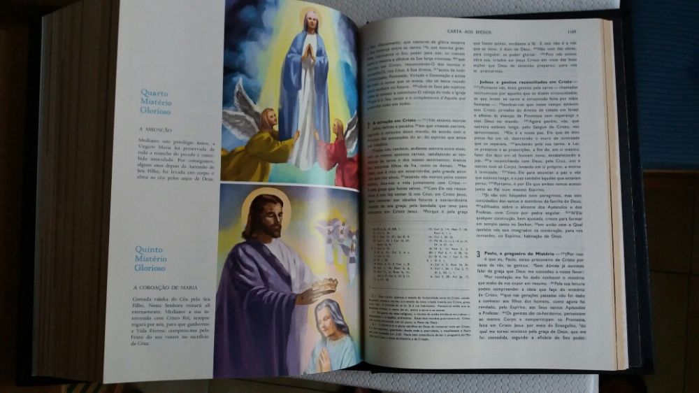Bíblia sagrada com ilustrações - Debruada a ouro