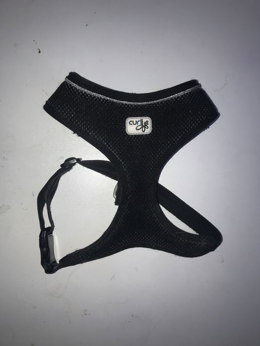 Шлейка для собак Curli розмір с м