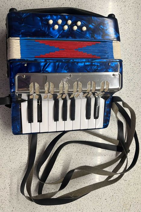 Accordion for child64365230614017120