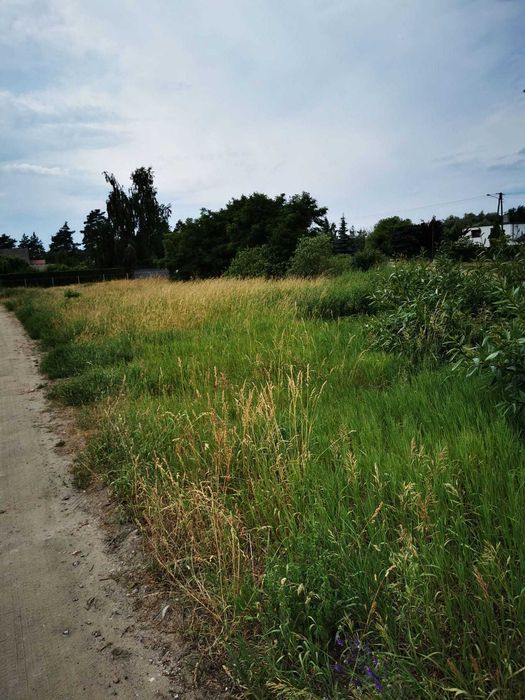 Działka budowlana usługowa Grzebienisko 13km od Tarnowa Podgórnego - Widok 2