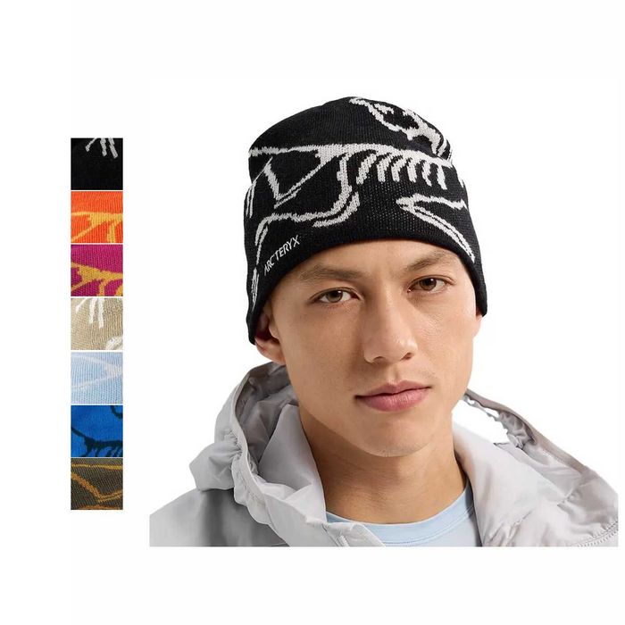 Шапка Arcteryx Bird Head Toque Orca \ Solaris/Edziza \ Amaranthus/Edziza \ Smoke Bluff/Arctic Silk \ Dark Daybreak/Daybreak \ Fluidity/Labyrinth \ Tat