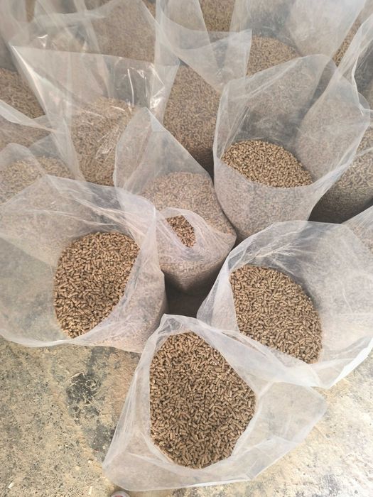 PELLET, brykiet od producenta