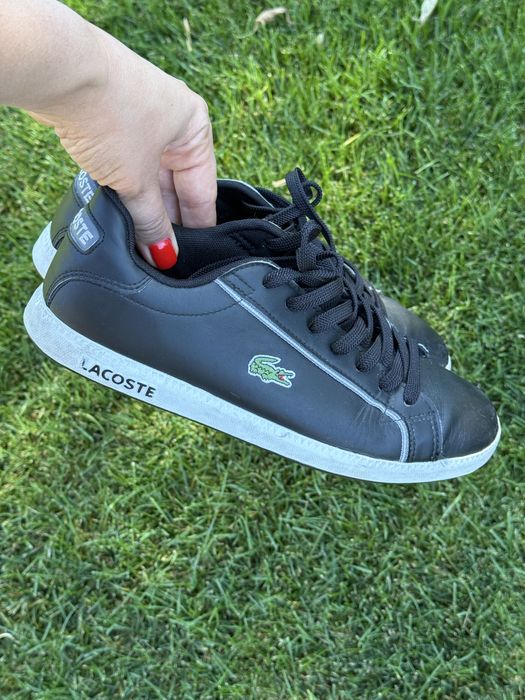 Кросівки кеди Lacoste