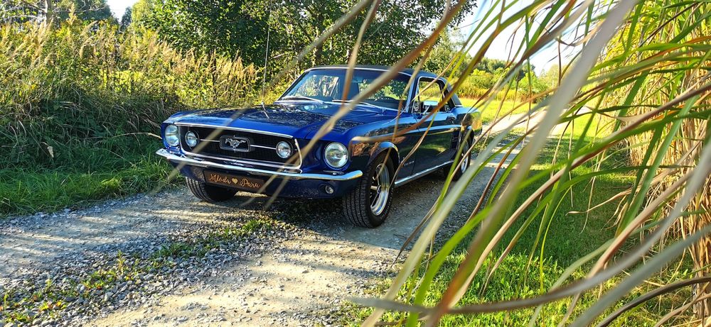 Ford Mustang 1967 rok do ślubu, eventy, filmy, sesje zdjęciowe,