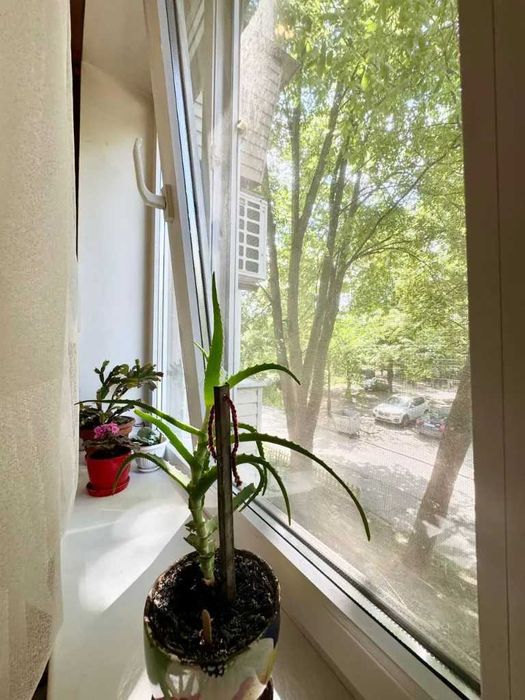 Продам 3к квартиру Тополь Тополя-1 Правий берег