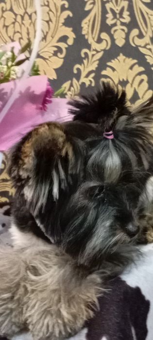 Супер малыш красавчик