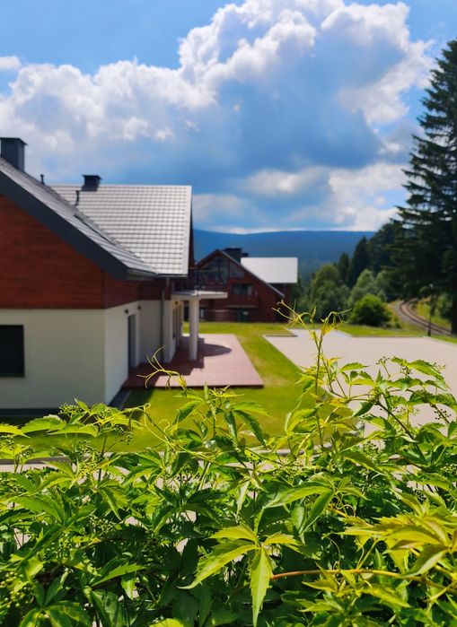 Sprzedam apartament z widokiem na góry.