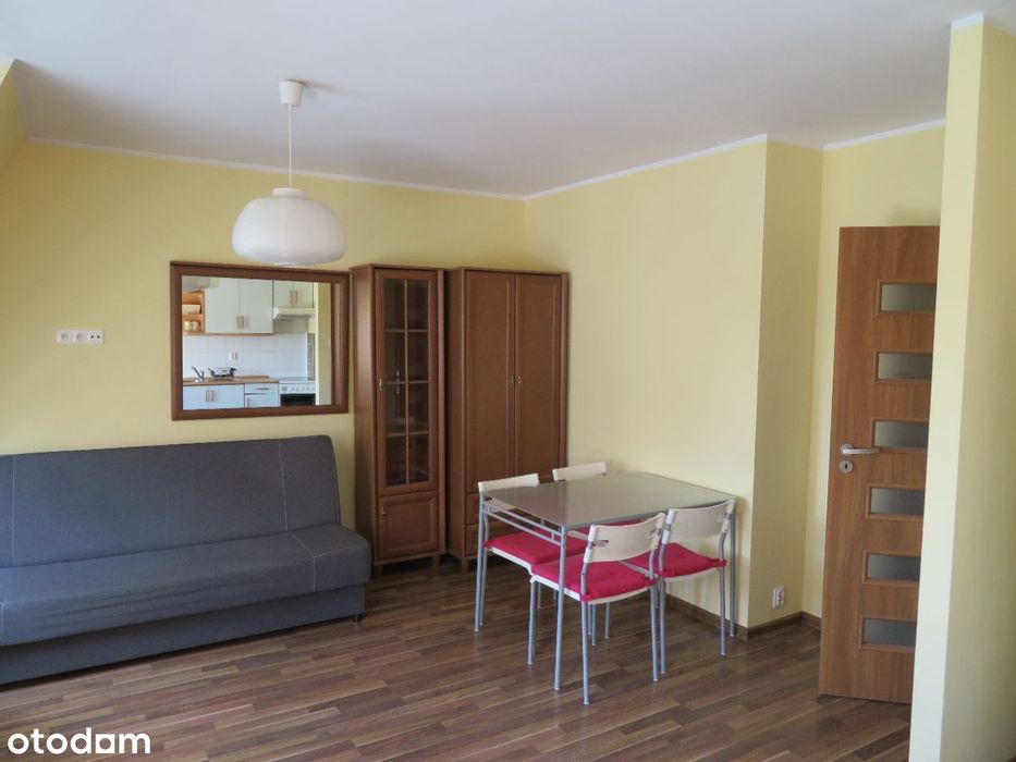 Mieszkanie 1-pokojowe w Poznaniu, 33 m²