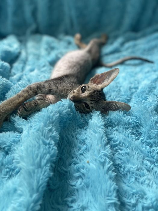 Космічний малюк хлопчик