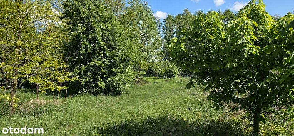 Sprzedam pięć działek w miejscowości Skoki Duże 46161m2