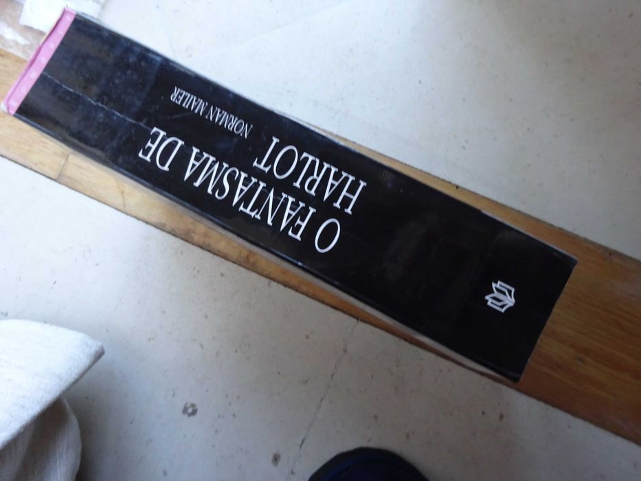 Livro "O Fantasma de Harlot"