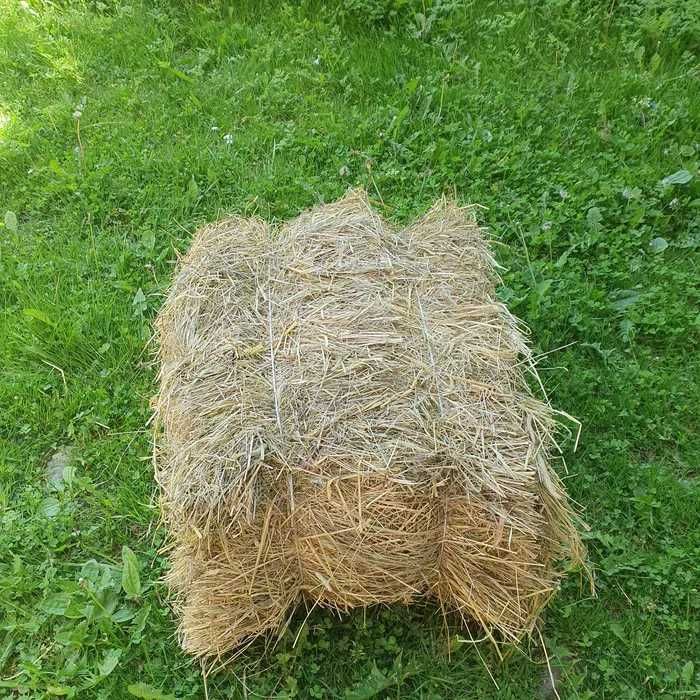 Słoma w kostkach