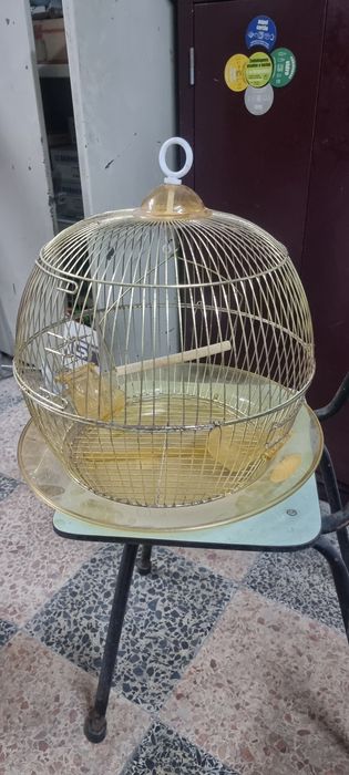 Gaiola redonda de latão com pé