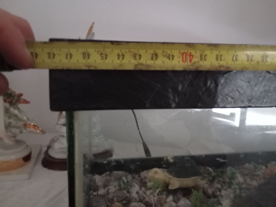Aquário/ Aquaterrário / tartarugueira em vidro